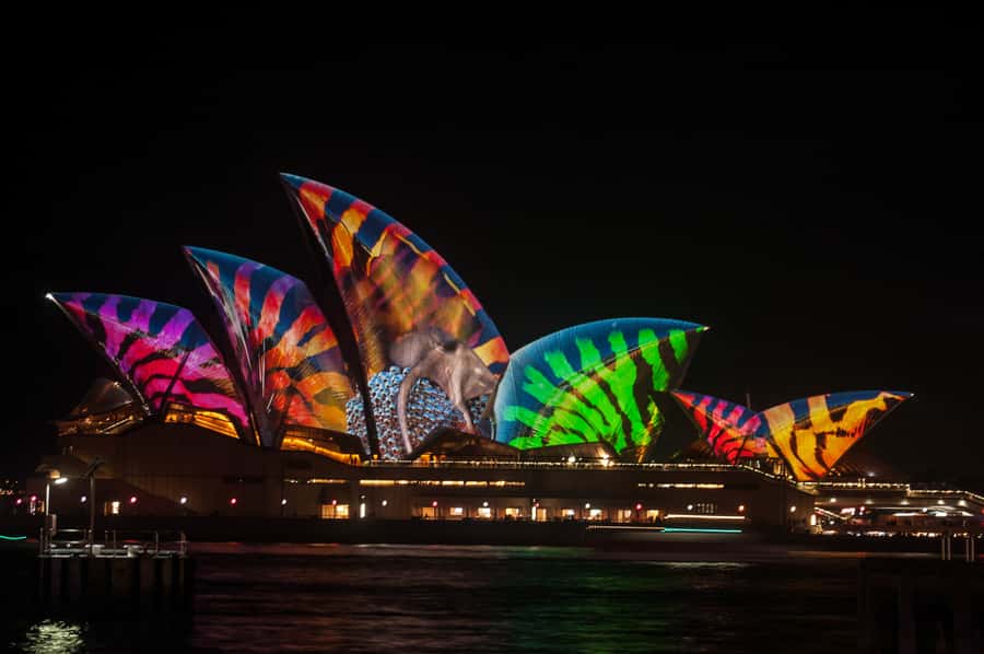 Sydney: Vivid Festival of Light Harbor Cruise with Dinner - Getting to King Street Wharf 6, and finding the right boat