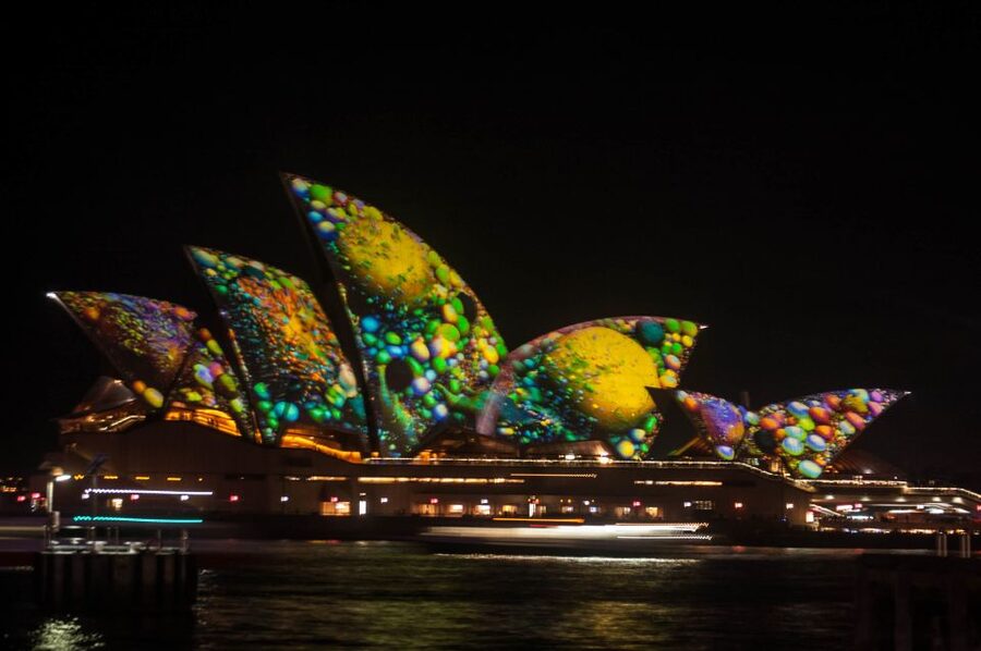 Sydney: Vivid Festival of Light Harbor Cruise with Dinner - Dinner onboard: buffet quality, portion reality, and dietary help