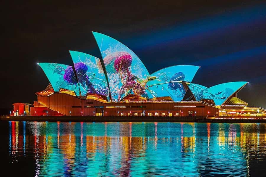 Sydney: Vivid Harbour Cruise with Canapes - Watching Vivid’s lights from the water, with 360-degree payoff