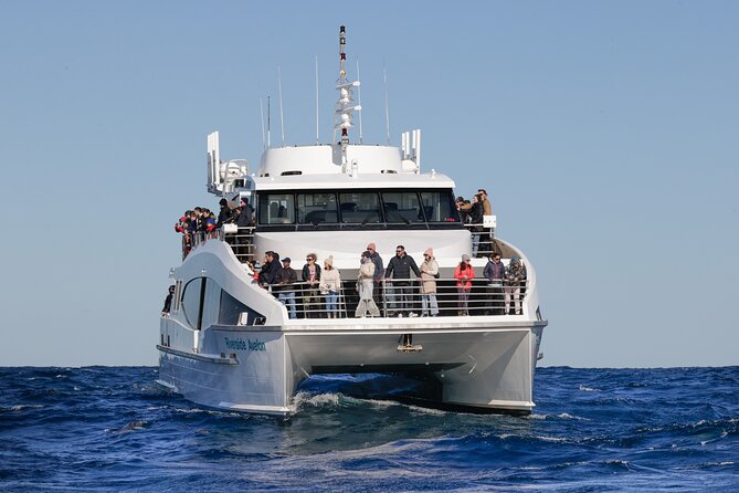 Sydney Whale Watching - 2.5hr Discovery Cruise - Darling Harbour departure and finding the Aquarium meeting point