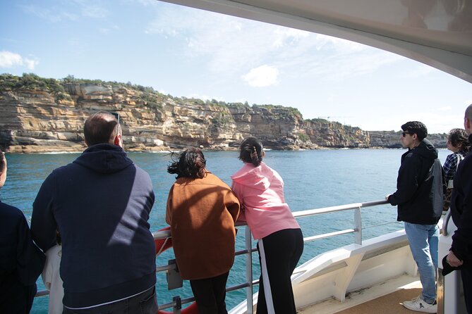 Sydney Whale Watching - 2.5hr Discovery Cruise - What whale sightings look like, and how to spot the good moments