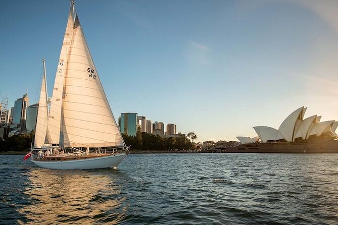 Sydney Whale Watching - 2.5hr Discovery Cruise - If you do not spot whales: the free return cruise safety net