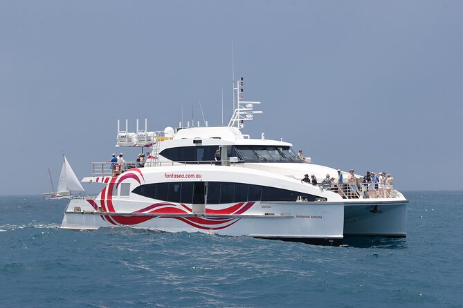 Sydney Whale Watching - 2.5hr Discovery Cruise - Deck comfort, cabin options, and how to handle rough water