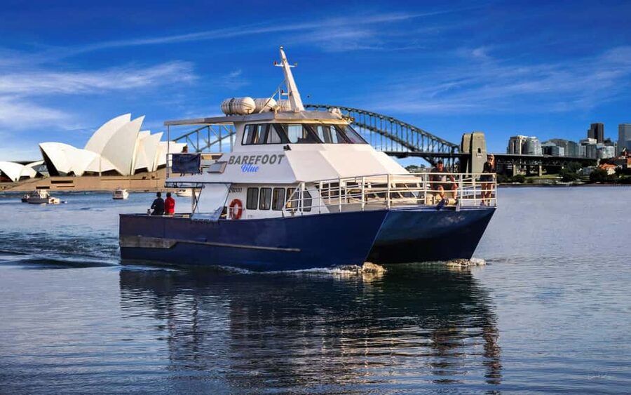 Sydney: Whale Watching Adventure Cruise - Whales Guaranteed! - Key things to know before you go