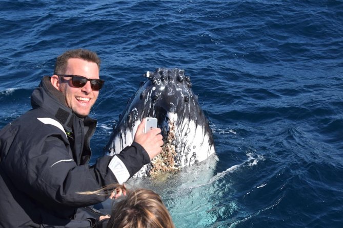 Sydney Whale-Watching by Speed Boat - Meeting point and timing: making the most of the short duration