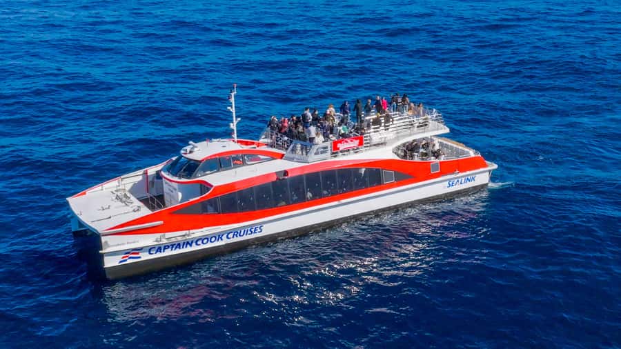 Sydney: Whale Watching & Wildlife Cruise - Price and Value: Is $67 a Good Deal for This Specific Experience?