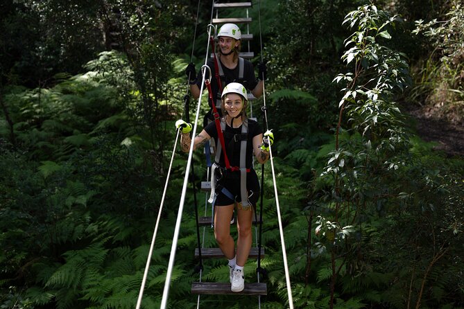 Tamborine Mountain TreeTop Challenge Adventure Park - TreeTop Challenge highlights in plain English