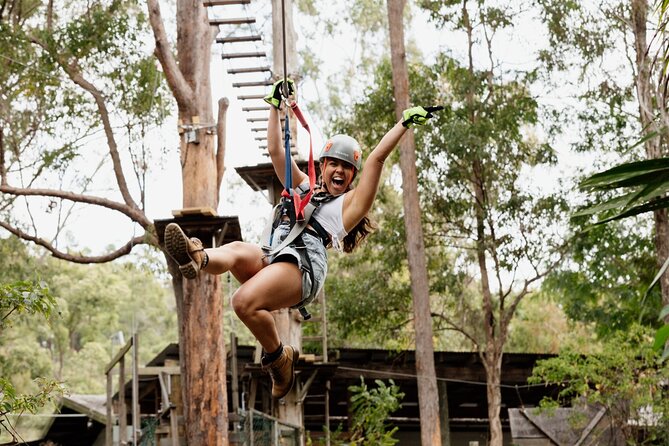 Tamborine Mountain TreeTop Challenge Adventure Park - Tamborine Mountain’s treetop playground: rainforest and ropes together