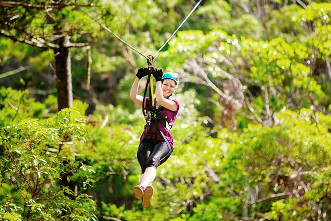 Tamborine Mountain TreeTop Challenge Adventure Park - Price and what you’re really getting for about $50.21