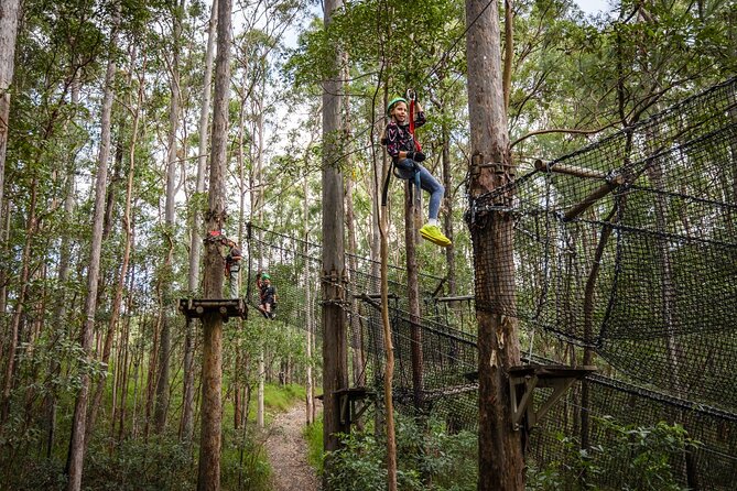 Tamborine Mountain TreeTop Challenge Adventure Park - What you’ll actually do up there: courses, levels, and the zipline moment