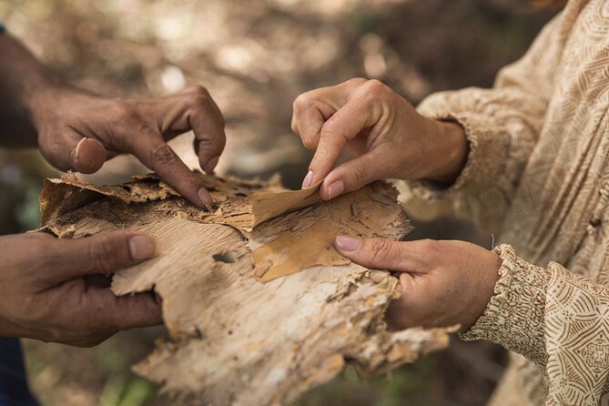 Taribelang Bunda Cultural Tours - Yarn Time bush tucker and the artefact skills you actually use