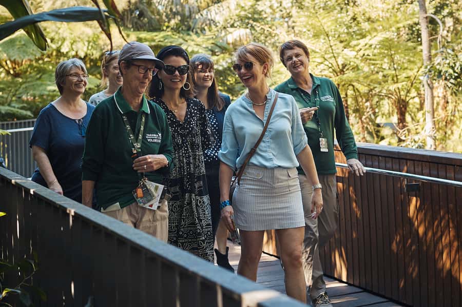 Taronga Zoo Aussie Backyard Adventure - Starting smart at the main entrance and using the app