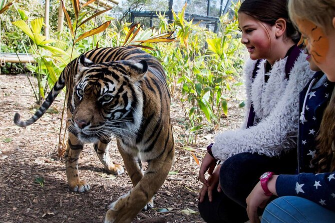 Taronga Zoo + Ferry Return Ticket - Quick hits before you go