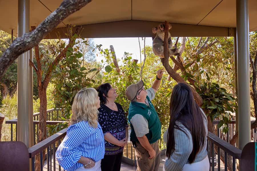 Taronga Zoo Sydney Wild Australia Experience - Platypus mysteries and the nocturnal animal intro you did not expect