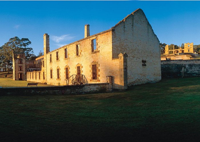 Tasman Island Cruises and Port Arthur Historic Site Day Tour from Hobart - Wildlife Odds: What You Might Spot on the Cruise