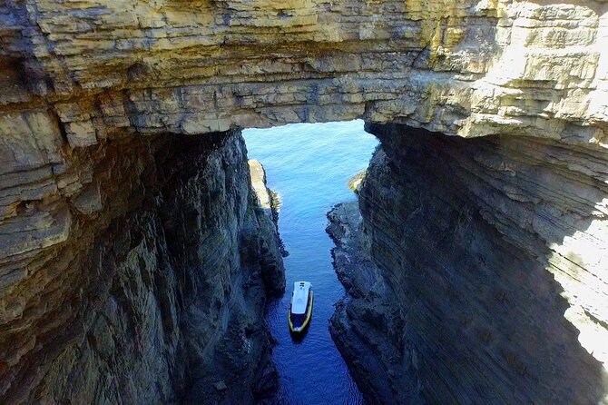Tasman Island Cruises Day Tour from Hobart - Key things I’d bet on before you go