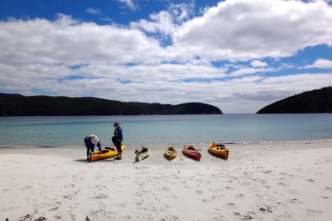 Tasman Peninsula full day kayaking tour - Kayaking under 200-metre cliffs, Candlestick photos, and the Totem Pole view