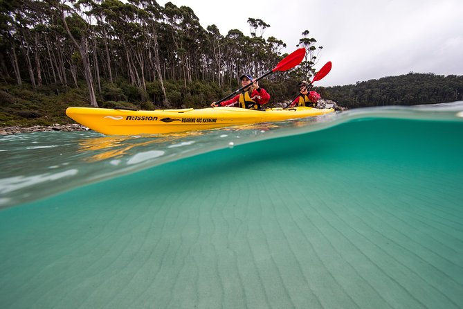 Tasman Peninsula full day kayaking tour - Weather reality: plan for hit-or-miss, and know the tour’s stance