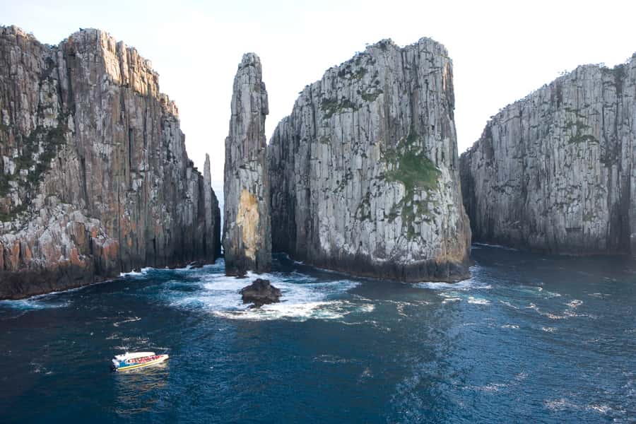 Tasman Peninsula Tour, Cruise & Port Arthur Historic Site - The 3-hour wilderness cruise: where the wildlife odds improve