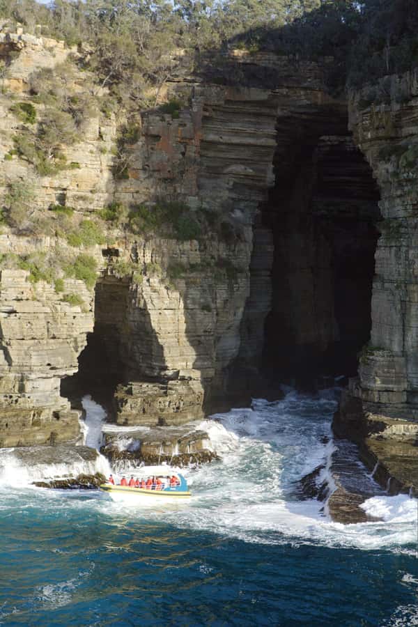 Tasman Peninsula Tour, Cruise & Port Arthur Historic Site - Meals and breaks: morning tea now, lunch included at Port Arthur