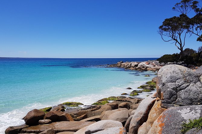 Tasmania 5 Day East Coast Tour - Key takeaways