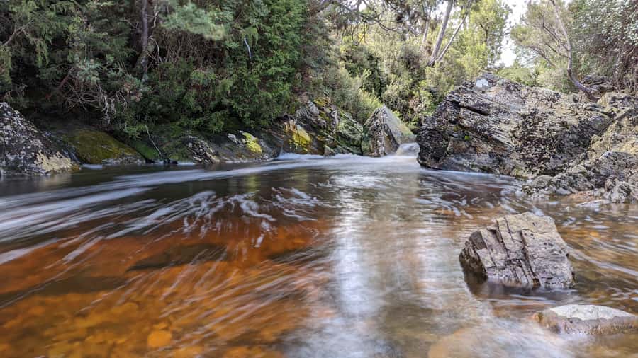 Tasmania: 7-Day West to East Tour - Lodging, transport, and daily rhythm (what to realistically plan for)