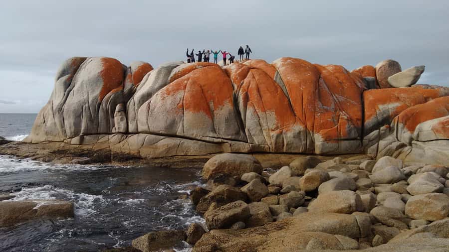 Tasmania: 7-Day West to East Tour - Day 2: Strahan’s wild west coast, rainforest walks, sand dunes, and optional Gordon River time