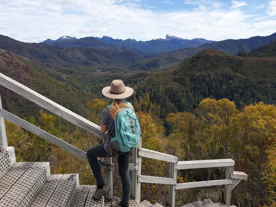 Tasmania: 7-Day West to East Tour - Day 3: Cradle Mountain National Park, wombat and echidna spotting, and the Sheffield mural drive