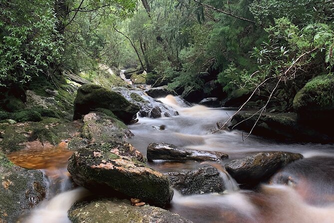 Tasmania 8 Day - Tour in Circle - Cradle Mountain and the World Heritage Weight of Place
