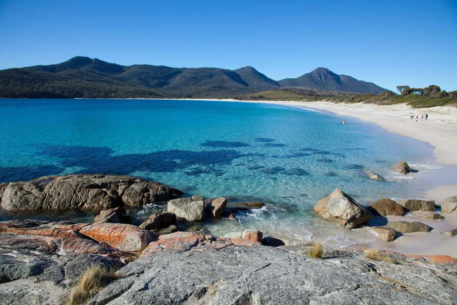 Tasmania: Wilderness and Wildlife Guided 6-Day Tour - A six-day Tasmania loop with no rental car headaches