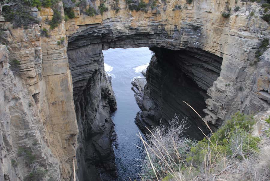 Tasmania: Wilderness and Wildlife Guided 6-Day Tour - Day 6: Bonorong devils and Richmond charm, then kunanyi at Wellington Park