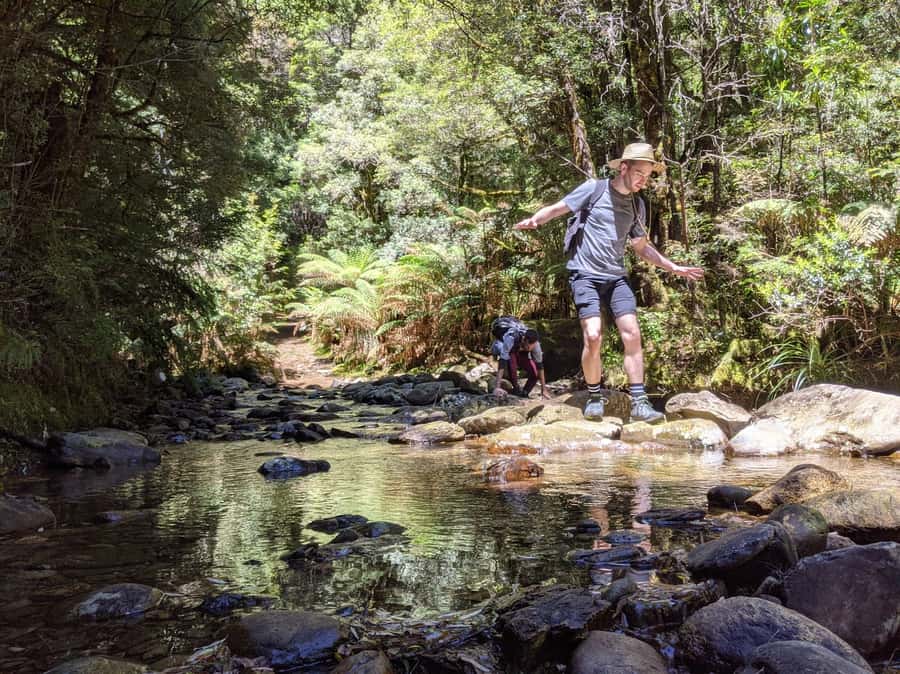 Tasmania: Wilderness and Wildlife Guided 6-Day Tour - Price and what you’re actually buying for $831