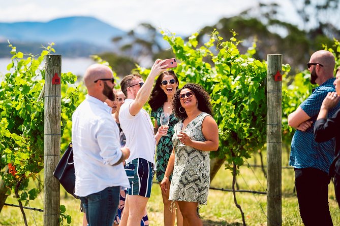 Tasmanian Premium Wine Tour with Tasmanian Cheese Platter - Four Winery Stops, One Consistent Rhythm