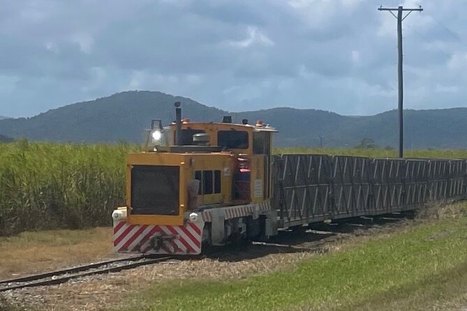 The Airlie Sightseeing Bus – (Cruise-Ship Friendly) - The Whitsunday Gold Coffee Plantation stop (what you’re actually doing there)