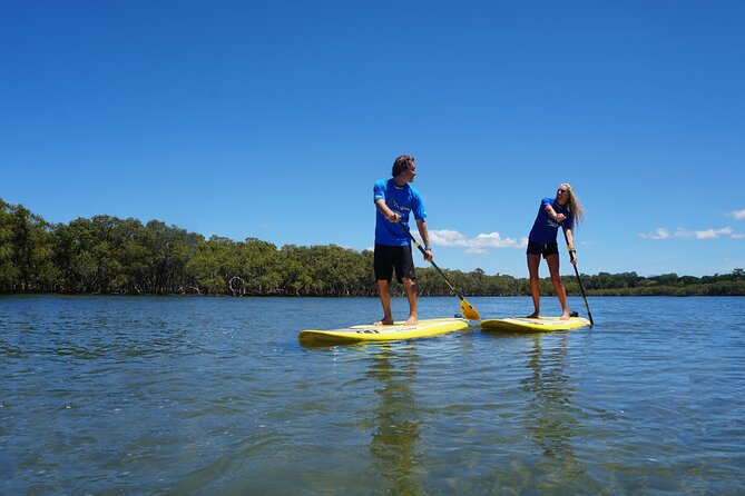 The Byron Bay Sea Kayak Tour - Who This Tour Fits, and Who Should Think Twice