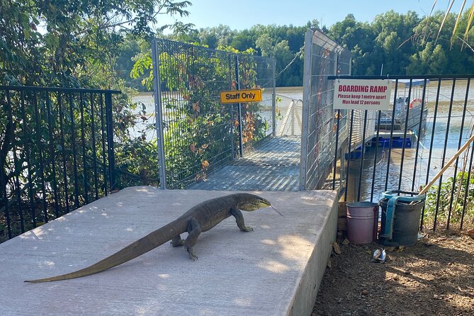 The Croc Bus to the Famous Jumping Crocodile Cruise - The Croc Bus advantage: Darwin logistics without the stress