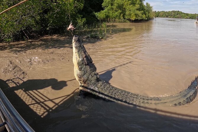The Croc Bus to the Famous Jumping Crocodile Cruise - Timing, pacing, and how to plan your half day in Darwin