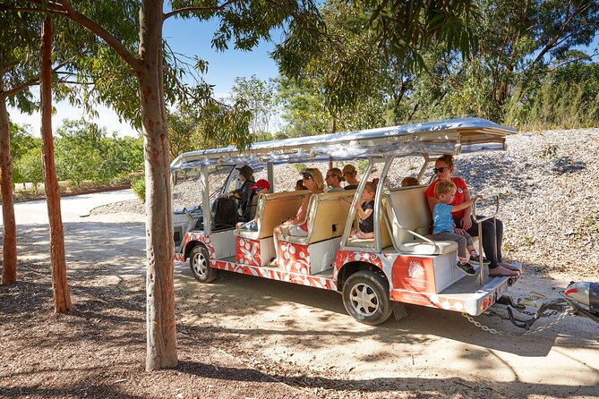 The Explorer - Cranbourne Gardens - Key highlights you should know