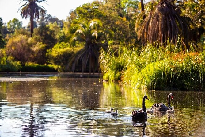The Explorer - Melbourne Gardens - Guide commentary that helps you connect the dots
