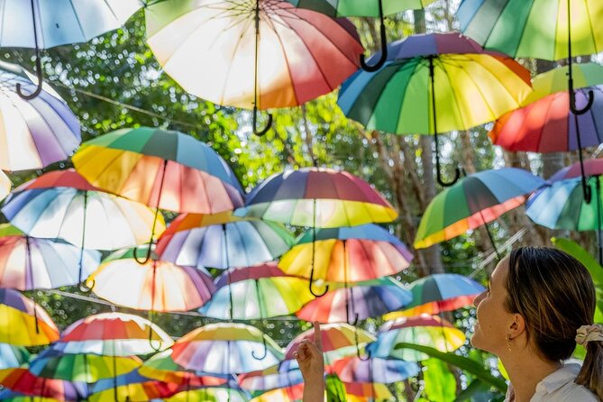 The Ginger Factory - Play All Day Bundle Unlimited Rides - Where you start on the Sunshine Coast (and why it matters)