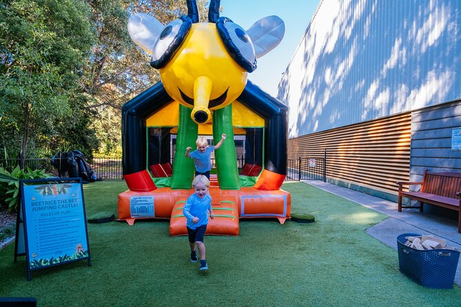 The Ginger Factory - Play All Day Bundle Unlimited Rides - Bee-Trice jumping castle, the energy reset button