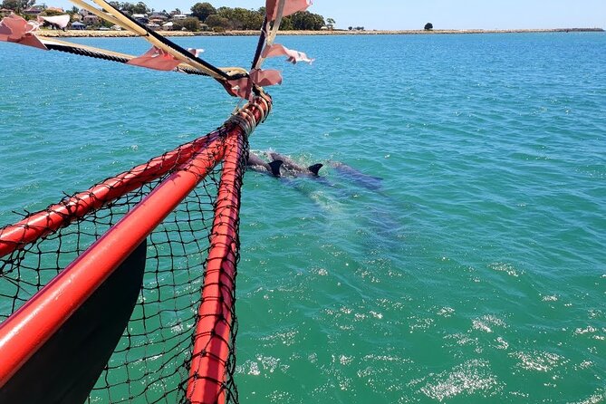 The Pirate Cruise in Mandurah on Viator - What you do onboard: pirate wheel, bell, costumes, and crew energy