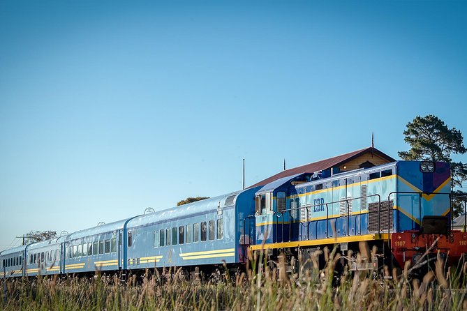 The Q Train - Q Class Social Dining - Comfort and timing tips that make or break the day