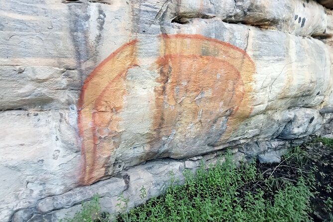 Tiwi By Design Day Tour - Wildlife spotting: a bonus, not a guarantee