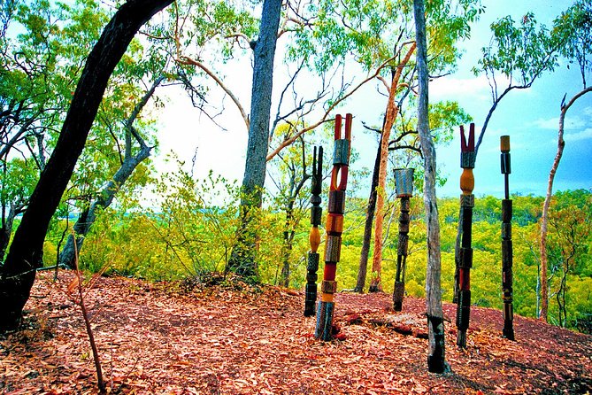 Tiwi Islands Cultural Experience from Darwin Including Ferry - From Darwin to Bathurst Island: the ferry day that sets the tone