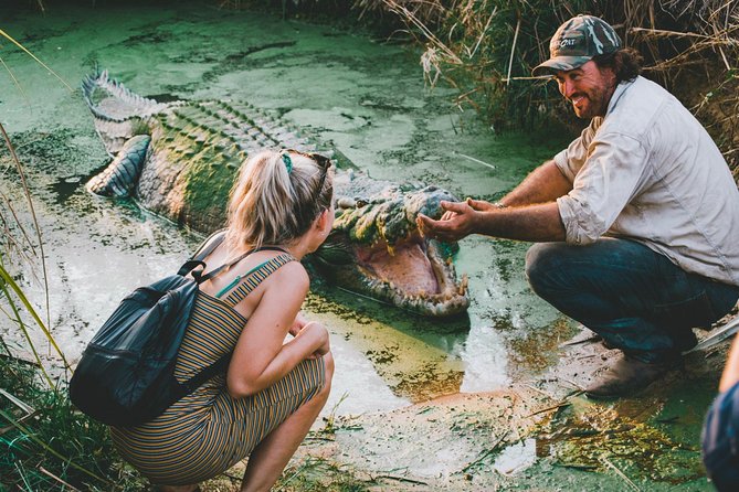 Top End Safari Camp Day Tour - Matt Wright’s Rescue Crocodiles and the Feeding Moment