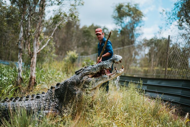 Top End Safari Camp Day Tour - Price and Value: Why $426.76 Can Make Sense