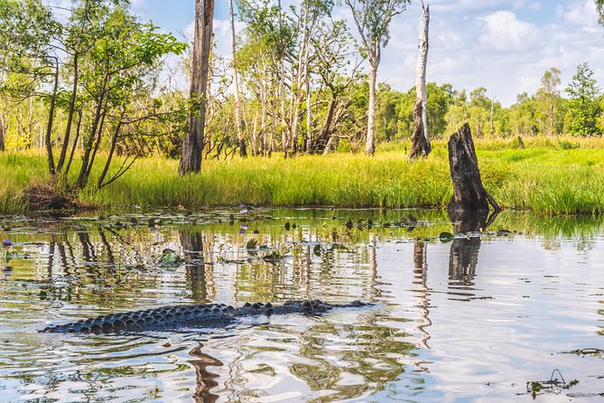 Top End Safari Camp Overnight Tour - The camp day feel: cheeseboard billabong cruise and houseboat time