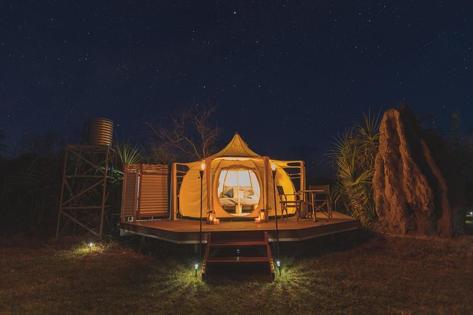 Top End Safari Camp Overnight Tour - Day 1 in the Top End: airboat time on the Finniss River