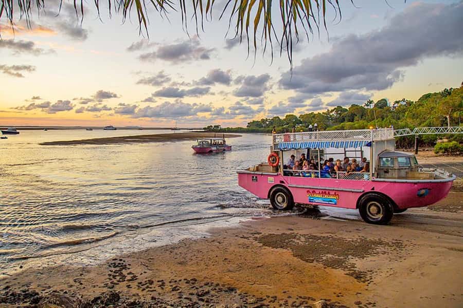Town 1770: Afternoon Coastline Tour - Key things to know before you go